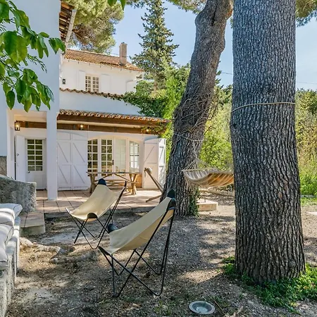 Maison Des Pins